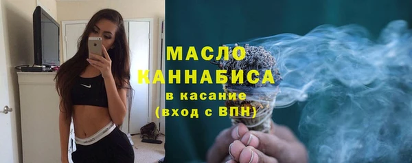 твердый Михайлов