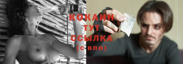 твердый Михайлов