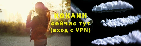 твердый Михайлов