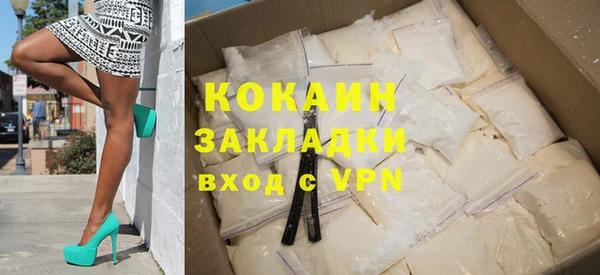 твердый Михайлов